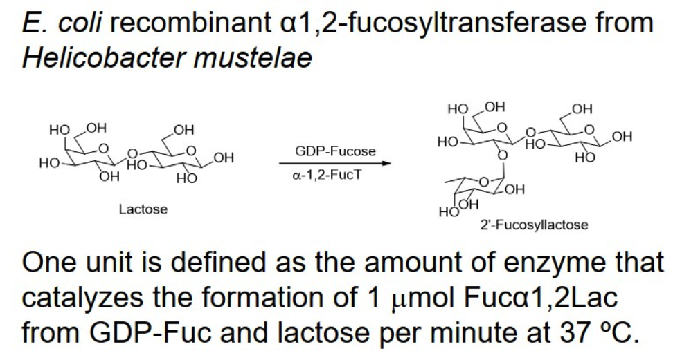 α-1,2-fucosyltransferase; α-1,2FucT